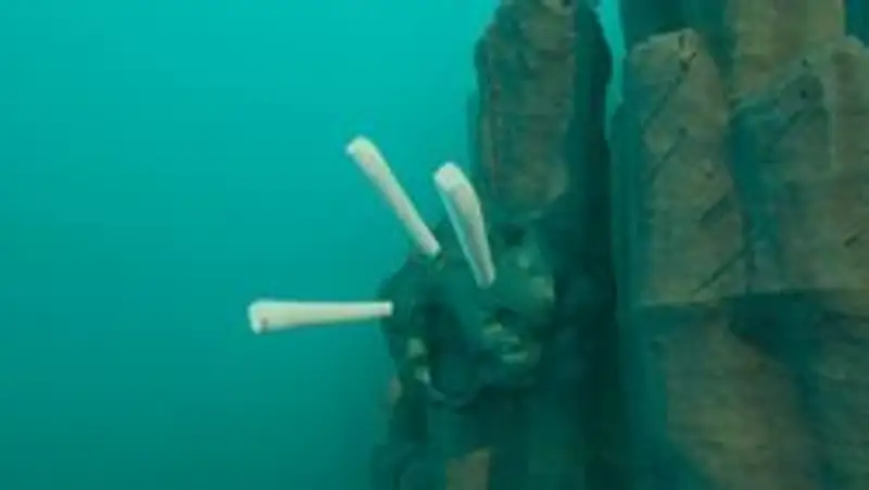 Đối đầu với Collector Leviathan