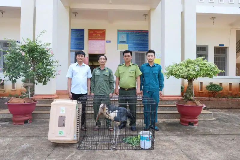 Già đẫy nhỏ cũng được cứu hộ tại Đồng Nai