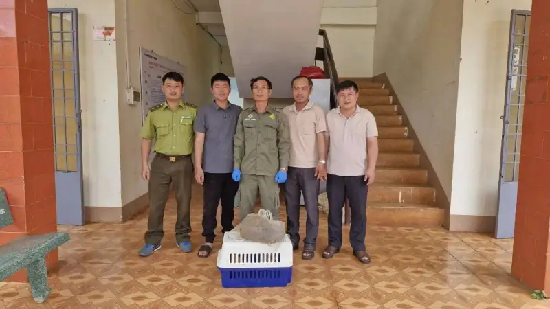 Tê tê Java được bàn giao cho cơ quan chức năng