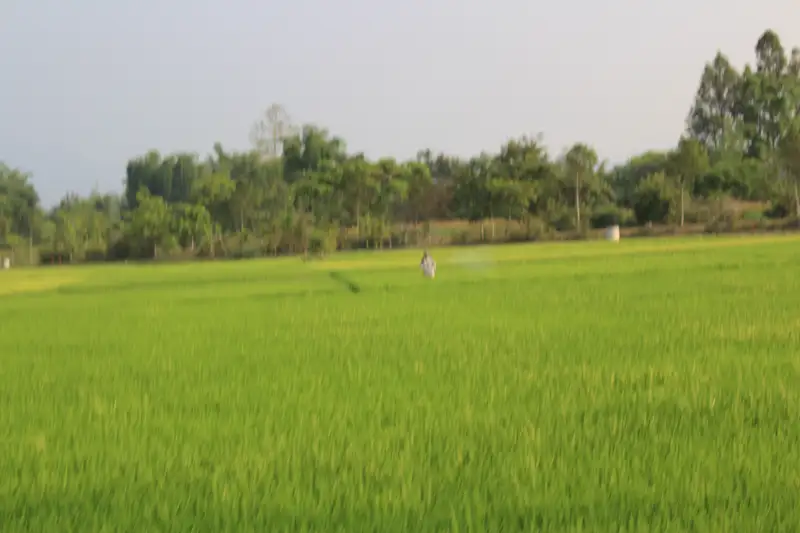 Ngư dân bắt cá trên Hồ Lắk