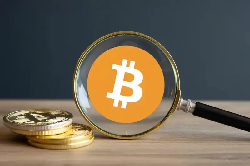 Các 'Ông Lớn' Bitcoin Hợp Lực Bảo Vệ An Ninh Mạng: 15 Triệu Đô La Cho Tương Lai Tiền Mã Hóa