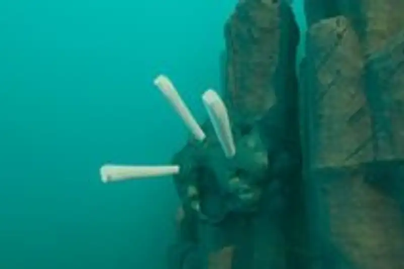 Chinh phục Alien Ruins trong Subnautica 2: Bước ngoặt sinh tồn giữa lòng đại dương
