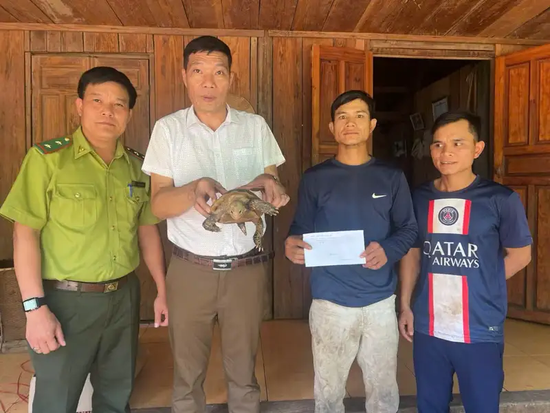 Anh A Tin giao nộp rùa quý hiếm cho chính quyền địa phương