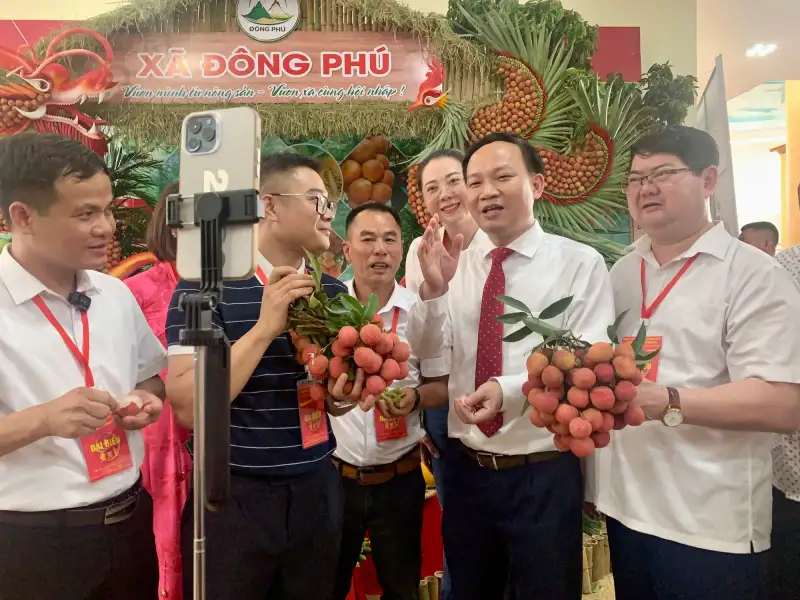 Thương lái và doanh nghiệp thu mua vải tại các điểm cân