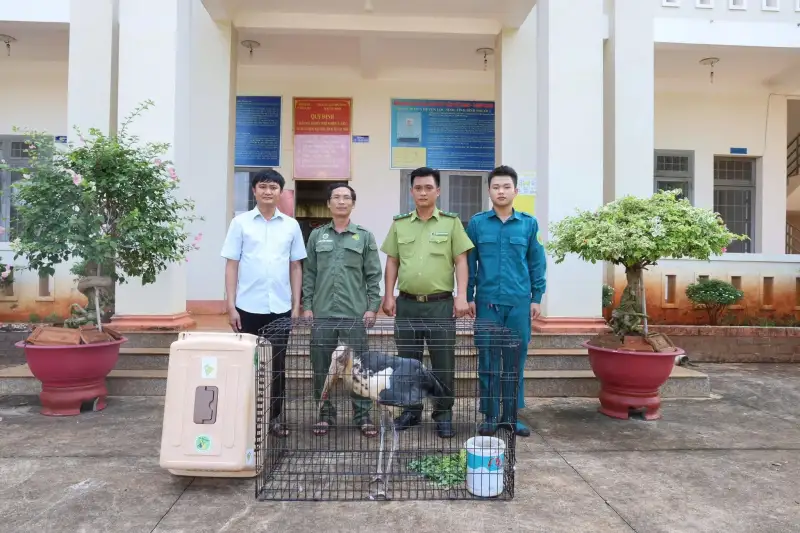 Đồng Nai: Tê Tê Java Quý Hiếm Lộ Diện Trong Vườn Nhà, Nâng Cao Nhận Thức Cộng Đồng Về Bảo Tồn