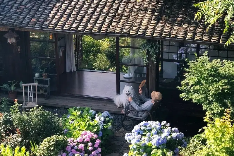 Ngôi nhà 'bốn mùa' và cuộc sống chữa lành giữa thiên nhiên: Khát vọng bình yên thời hiện đại