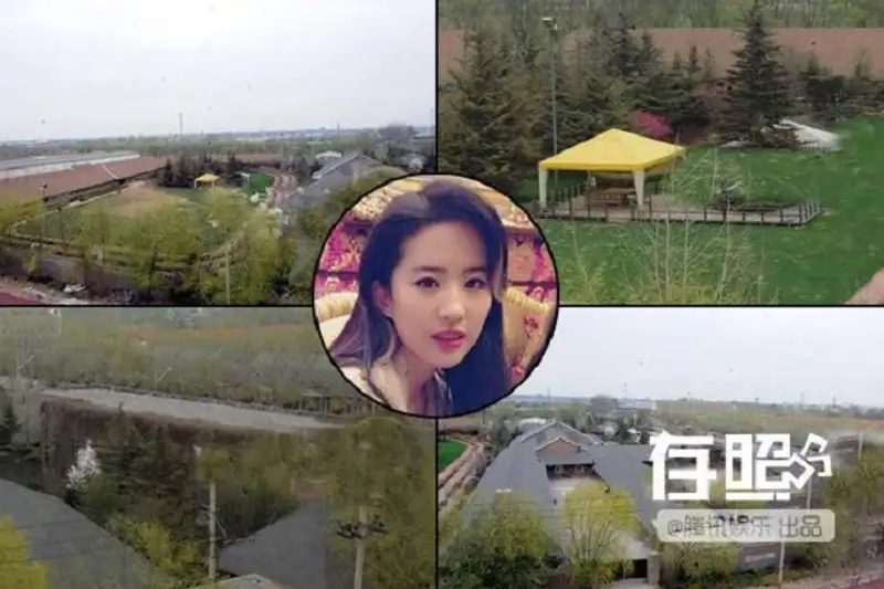 Lưu Diệc Phi: Thu nhập nghìn tỷ và cuộc sống xa hoa khiến công chúng choáng ngợp