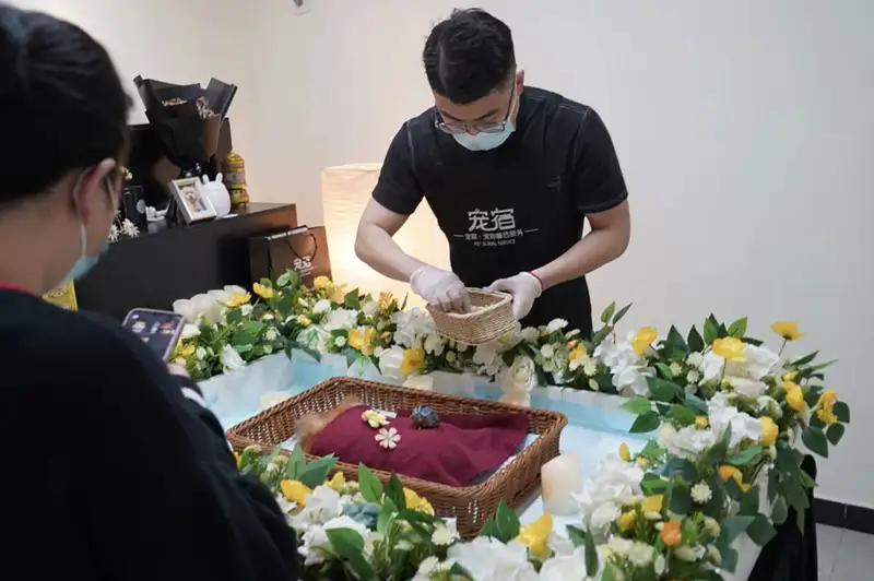 Ảnh minh họa nghi thức tang lễ thú cưng