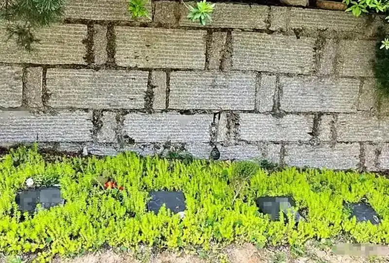 Ảnh minh họa về nghĩa trang thú cưng