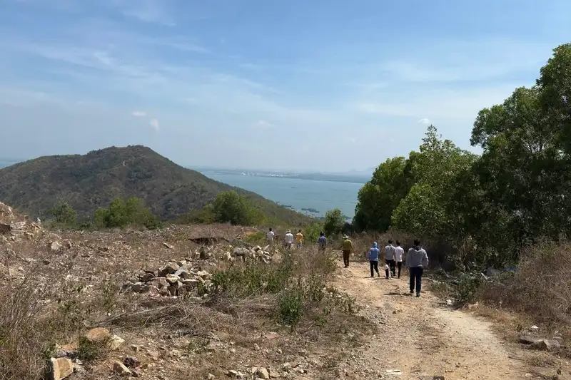 Vũng Tàu Chuẩn Bị Mở Thông Tuyến Đường Xuyên Núi Lớn Dài Hơn 10km: Đòn Bẩy Mới Cho Du Lịch và Bảo Tồn