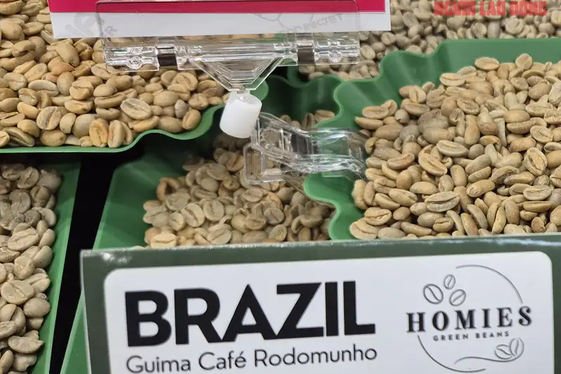 Thị trường cà phê toàn cầu đứng trước bước ngoặt: Khi 'vương quốc' Brazil áp đảo và bài toán từ thị trường Trung Quốc