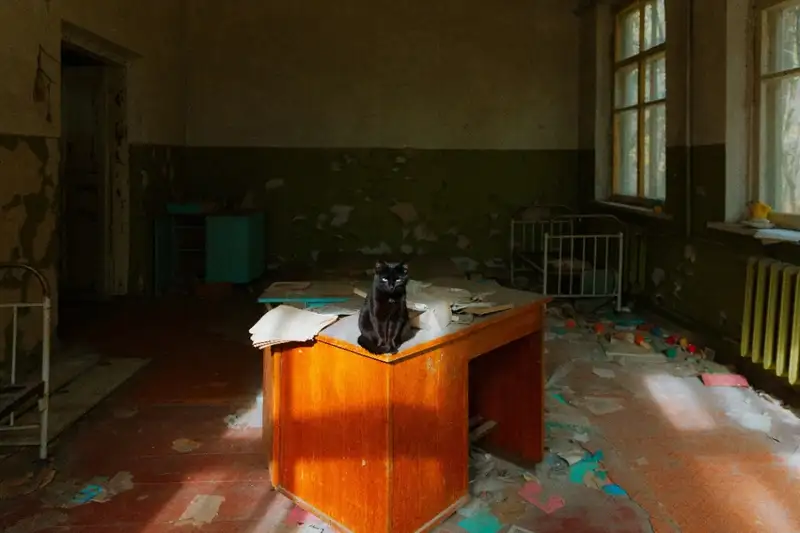 Thảm họa Chernobyl năm 1986 đã biến khu vực này thành một bãi thử nghiệm sinh thái tự nhiên đặc biệt do vắng bóng hoàn toàn các hoạt động của con người.