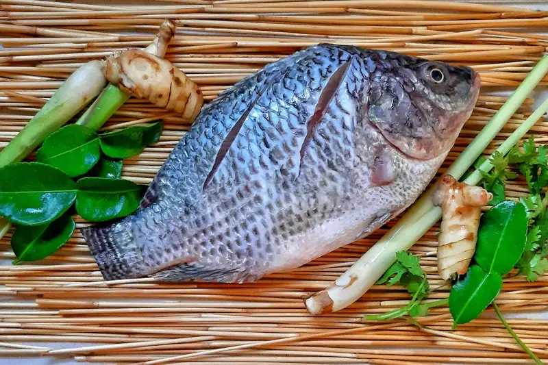 Cá rô phi: Từ bữa cơm nhà đến mặt hàng xuất khẩu bạc tỷ, dinh dưỡng sánh ngang cá hồi